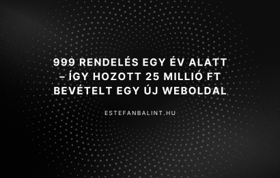 Online marketing esettanulmány eredményei: 999 rendelés és 25 millió forint bevétel egy év alatt